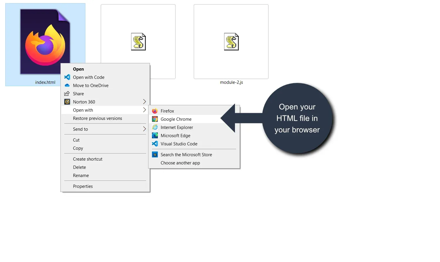 Open your HTML file in your
browser