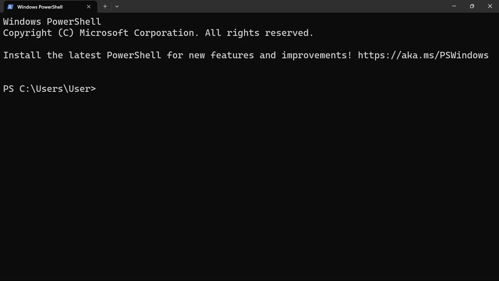 Windows PowerShell
CLI